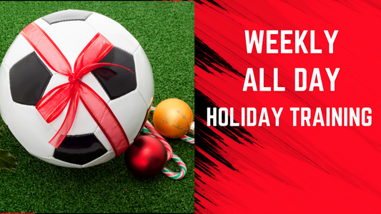 Holiday All Day Training - 3 Day Session 12/22-12/24